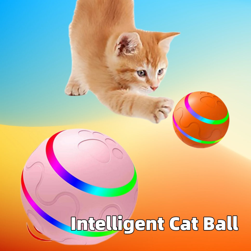 Pet Must-Haves 